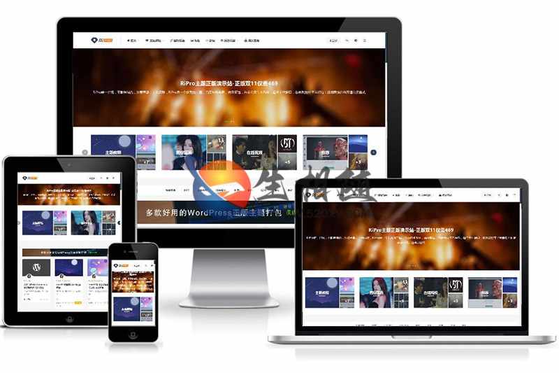 RiPro主题开心版RiPro-V2 v4.8去授权破解版wordpress主题虚拟资源下载站首选主题模板-拾光资源网