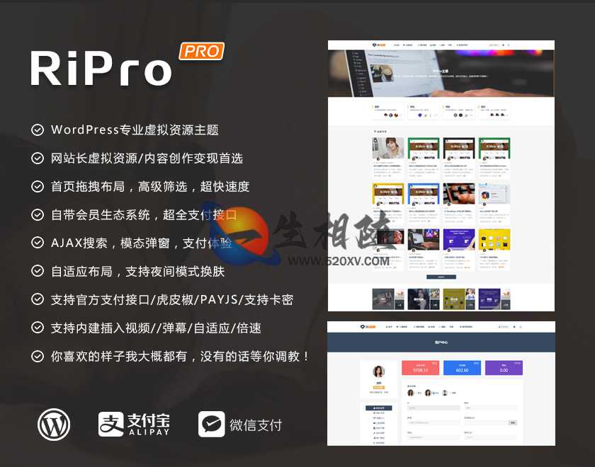 图片[2]-RiPro主题开心版RiPro-V2 v4.8去授权破解版wordpress主题虚拟资源下载站首选主题模板-拾光资源网