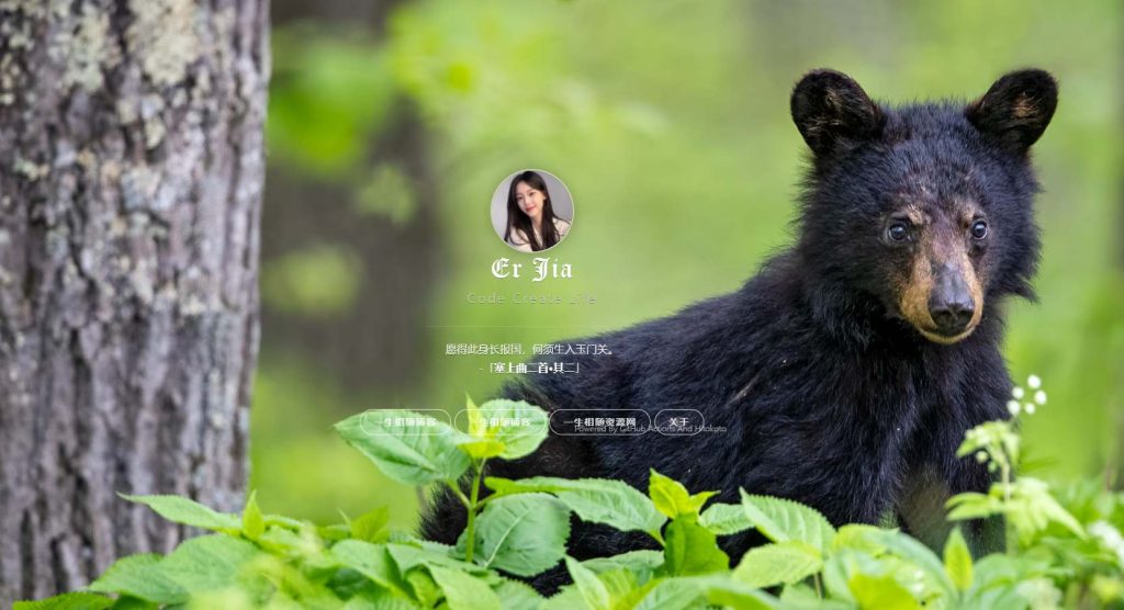 漂亮的个人主页源码 支持背景图片随机切换翻盖式LOGO-拾光资源网