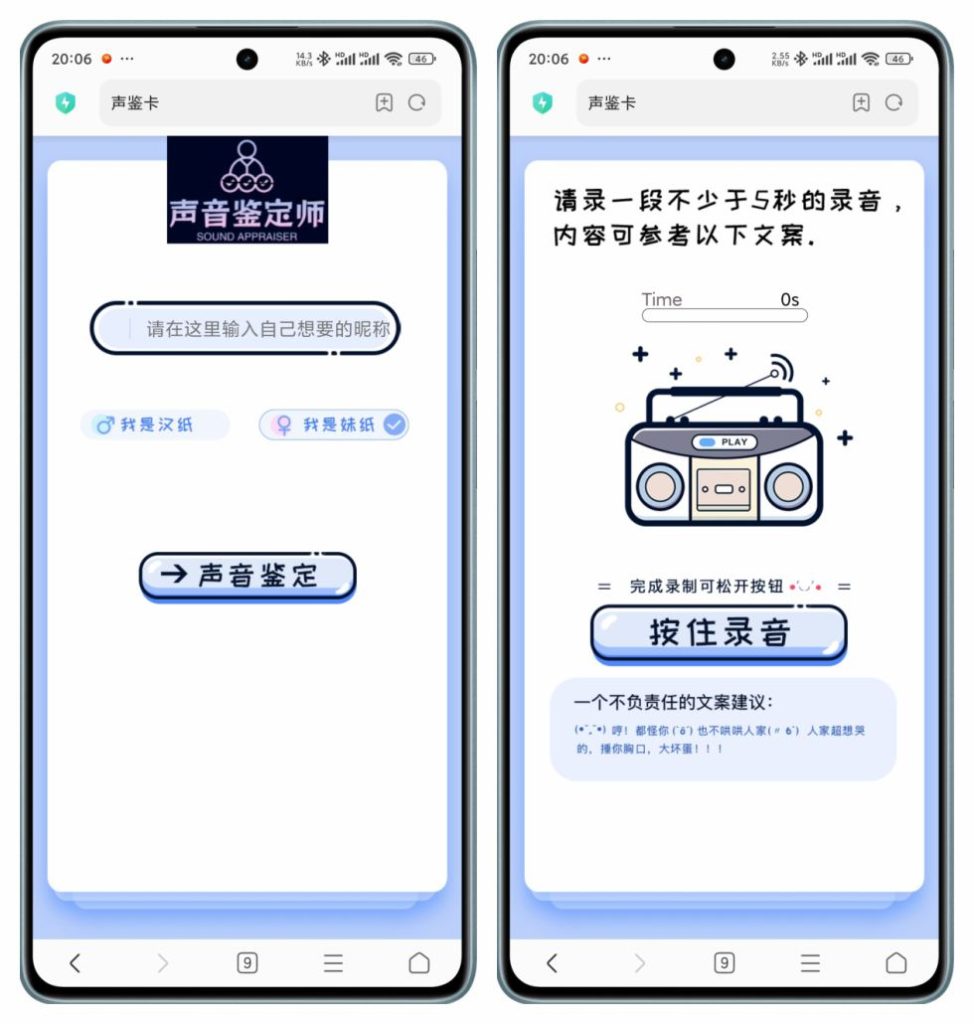 新版声音鉴定引流神器html源码-拾光资源网