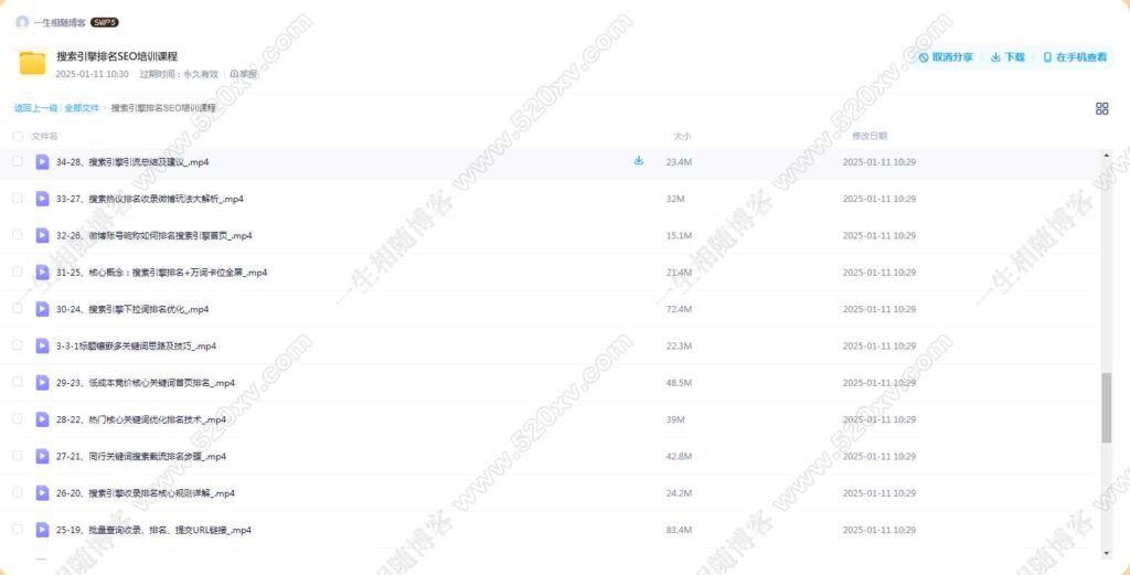 价值几千2025最新搜索引擎排名SEO培训课程 含各种引流推广网站优化视频教程-拾光资源网