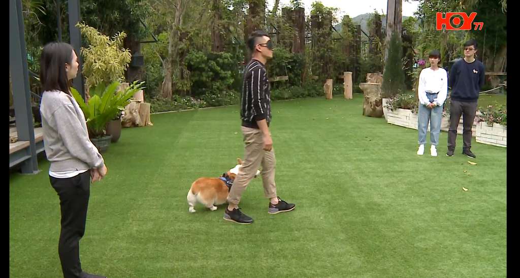 图片[2]-2025-02-27 HOY TV+澳视澳门+澳视卫星+RTHK31+RTHK32直播源分享-拾光资源网